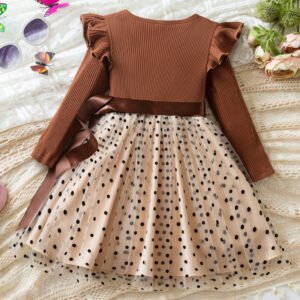 Long Sleeve Dress Dot Mesh Girl
