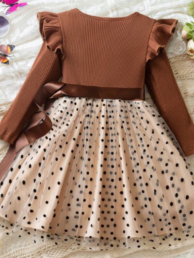 Long Sleeve Dress Dot Mesh Girl