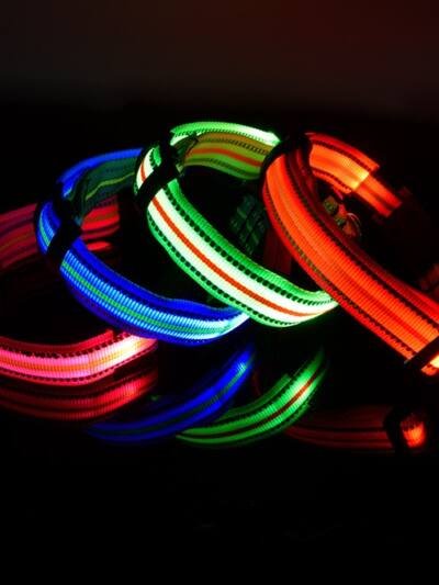 Fiber Optic Waterproof Magnetic Charging Pet Collar
