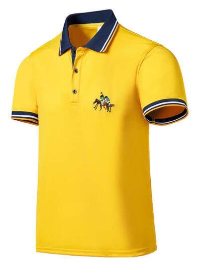 Mens Short Sleeve T Shirt With A Lapel And High End Embroidery
