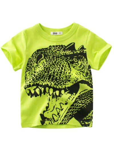 Summer Children's Short Sleeve T Shirt For Boys