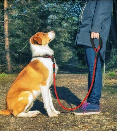 Reflective Dog Leash Nylon Pet Dog Leash Rope For Small Medium Large Dogs Walking Training Pet Suppiles