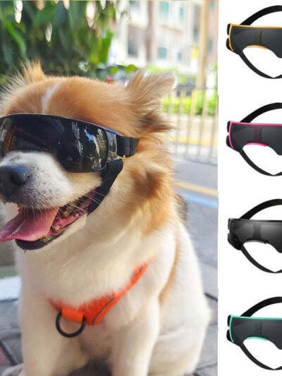 Dog Sun-proof Sun-proof UV-proof Goggles