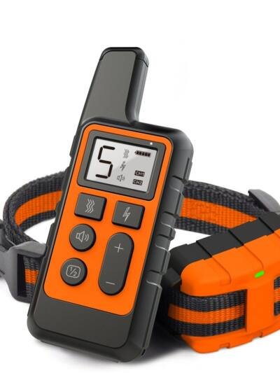 Dog Training Collar