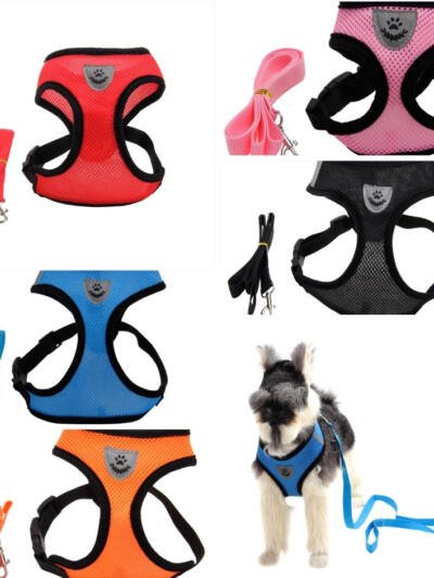 Fashionable High-end Multi-color Dog Harness