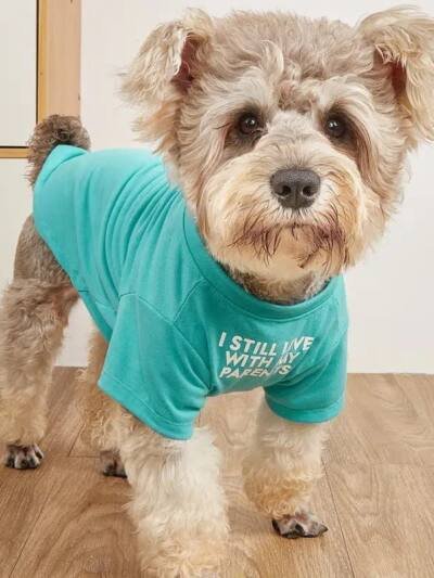 Pet Clothes Round Neck T-shirt