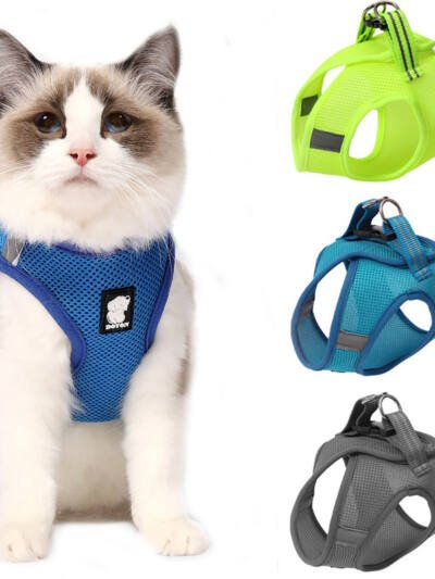 Anti-strike cat traction cat harness