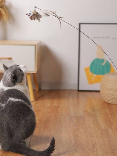 Steel Wire Feather Funny Cat Stick Long Rod