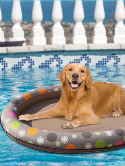 Dog Swimming Pool Inflatable Hammock Pets Pool Floating Bed Spring Summer Swimming Ring
