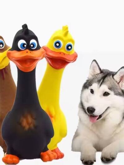 3pcs  Latex Screaming Chicken Toys Eco Friendly TPR Pet Squeaky Dog Interactive Play Chew Toys