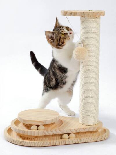 Indoor Cat Soft Scratching Board And Interactive Ball Track Toy Cat Rest And Grooming Supplies