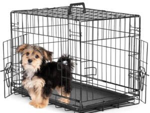 A Dog Cage With Two Doors