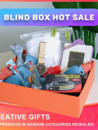 BLIND BOX HOT SALE