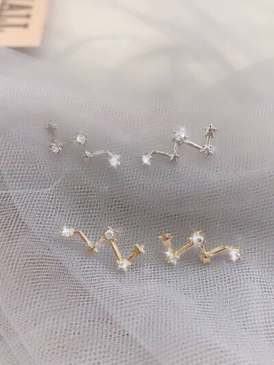 High-grade Light Luxury Design Sense Frosty Style Stud Earrings