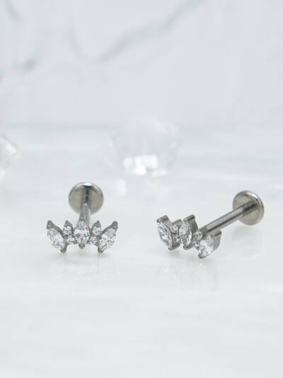 1pair Of Women's Earrings With Floral Stainless Steel Zircon Earrings Crystal Cluster Bloom