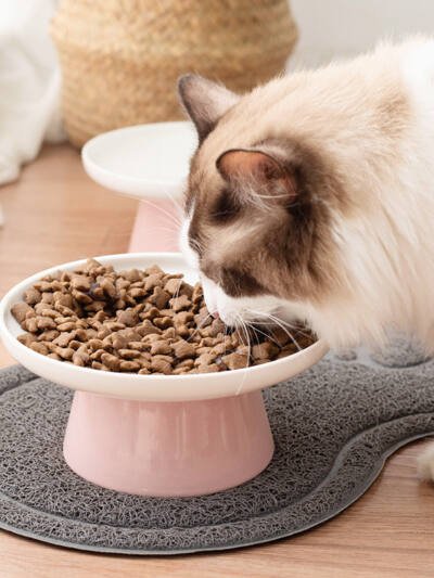 Protective Ceramic Cat Food Bowl