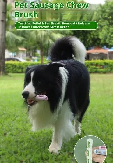 Dog Dental Chew Brush Toy