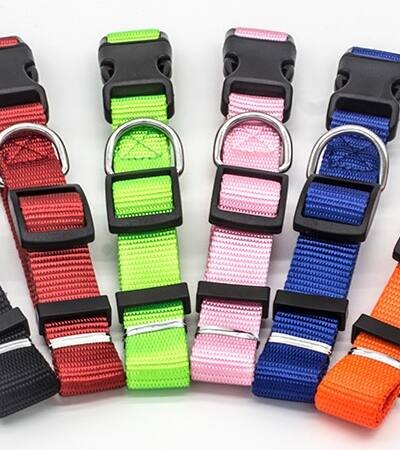 Pet Collar