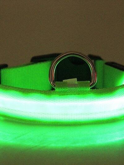 LED Luminous Pet Dog Collar Night