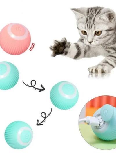 Electric Dog Cat Ball Toy,Indoor Large And Small Cat Dog Interactive