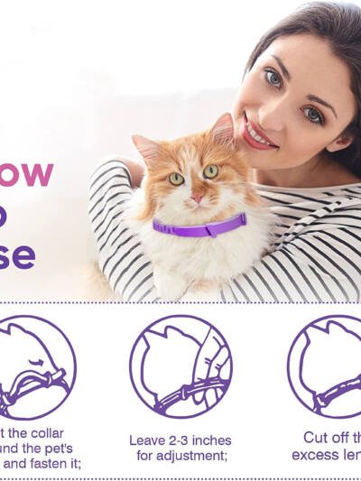 Calming Collar for Cats, Soothing Pet Accessory