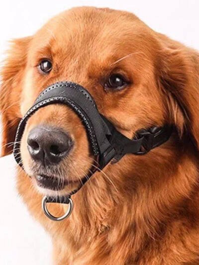 Dog Mouth Cover Nylon Anti Bite Barking Drinkable Water Adjustable