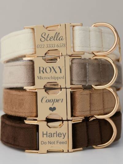 Multiple Colour Velvet Personalise Dog Collar Leash Set With Bow