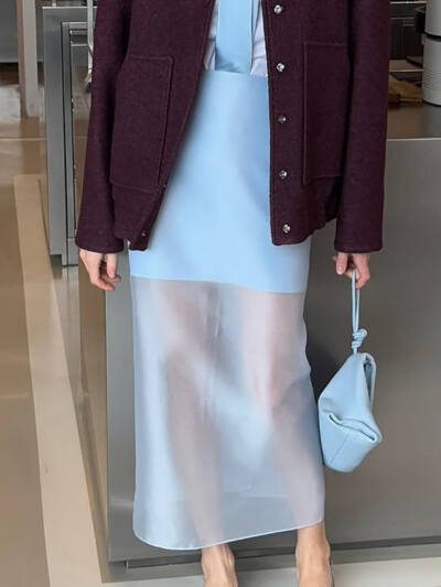 Designer- Sheer High-waist Skirt For Women